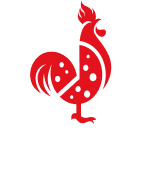 Saroki's Logo